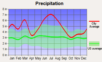 Northeast Leon, Florida average precipitation