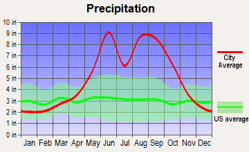 North Westside, Florida average precipitation