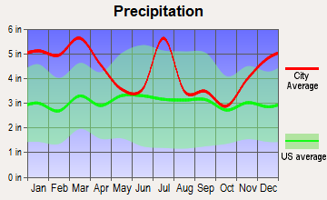 Valley, Alabama average precipitation