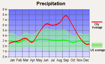 Hutchinson Island, Florida average precipitation