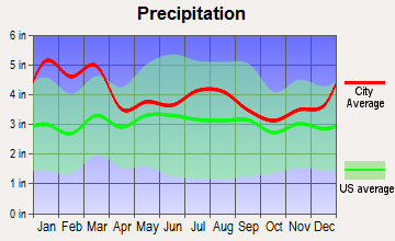 Rayle, Georgia average precipitation