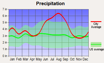 Riceboro, Georgia average precipitation