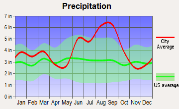 St. Simons, Georgia average precipitation