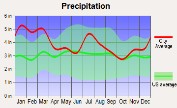 Siloam, Georgia average precipitation