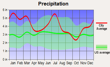 Smithville, Georgia average precipitation