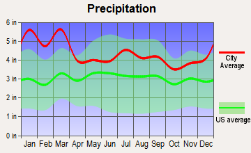 Snellville, Georgia average precipitation