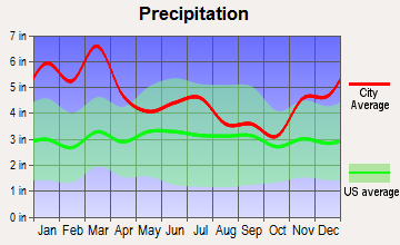 Wedowee, Alabama average precipitation