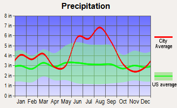 Woodbine, Georgia average precipitation