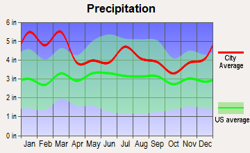 Lithonia, Georgia average precipitation