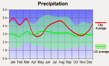 Louisville, Georgia average precipitation