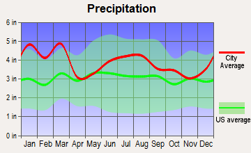 Martinez, Georgia average precipitation