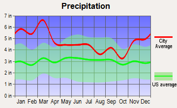 Menlo, Georgia average precipitation