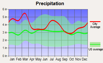 Monticello, Georgia average precipitation