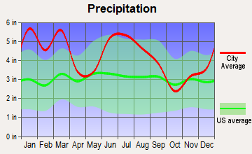 Moultrie, Georgia average precipitation