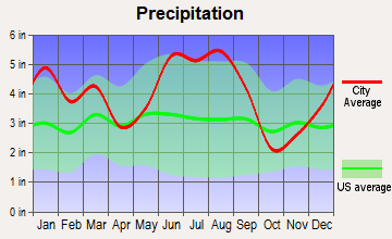 Newington, Georgia average precipitation