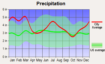 Lizella, Georgia average precipitation