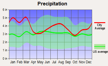 Devereux, Georgia average precipitation