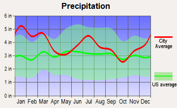 Elko, Georgia average precipitation
