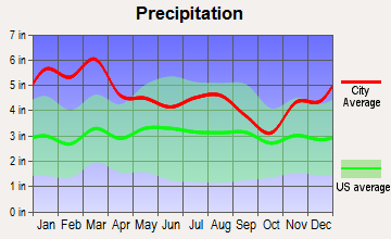 Yorkville, Georgia average precipitation