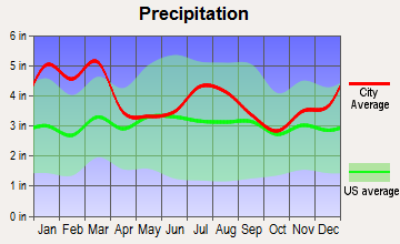 Phoenix, Georgia average precipitation