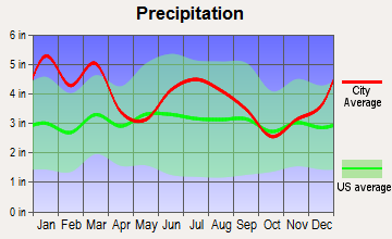 Brookfield, Georgia average precipitation