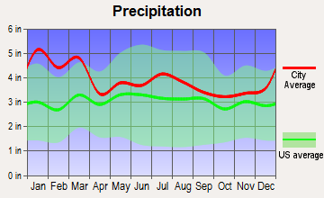 Washington-Metasville, Georgia average precipitation