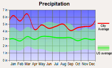 Alto, Georgia average precipitation