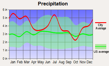 Americus, Georgia average precipitation