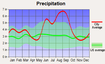 Brunswick, Georgia average precipitation