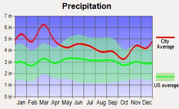 Cave Spring, Georgia average precipitation