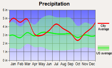 Centerville, Georgia average precipitation