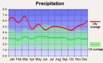 Clermont, Georgia average precipitation