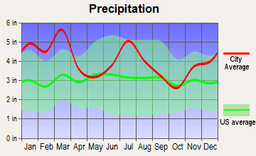 Culloden, Georgia average precipitation