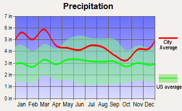 Dallas, Georgia average precipitation