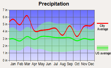 Dalton, Georgia average precipitation