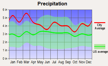 Emerson, Georgia average precipitation