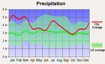 Greensboro, Georgia average precipitation