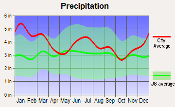 Hawkinsville, Georgia average precipitation
