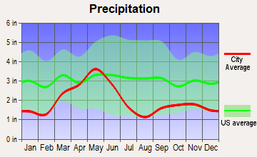 Grangeville, Idaho average precipitation