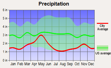 Nezperce, Idaho average precipitation