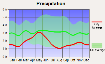 White Bird, Idaho average precipitation