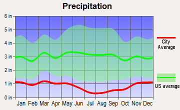 Huston, Idaho average precipitation