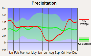 Elk City, Idaho average precipitation