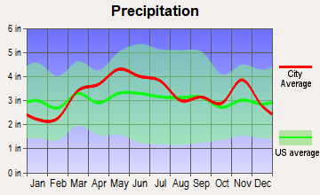 Mulberry Grove, Illinois average precipitation