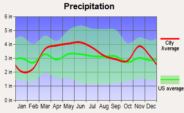 New Baden, Illinois average precipitation