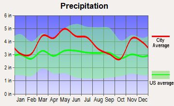 Norris City, Illinois average precipitation