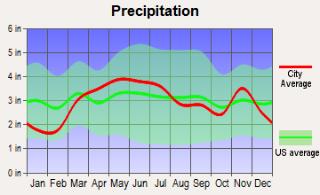Palmer, Illinois average precipitation