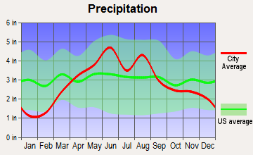 Rapids City, Illinois average precipitation