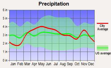 Raymond, Illinois average precipitation