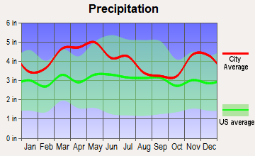 Rosiclare, Illinois average precipitation